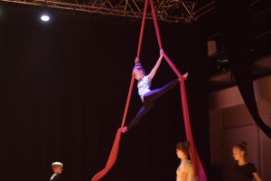 Workshop Vertikaltuch/Tanzakrobatik / WhatsArt