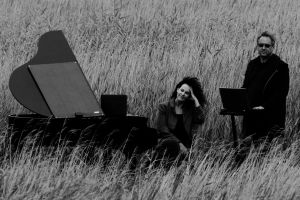 Pianofield